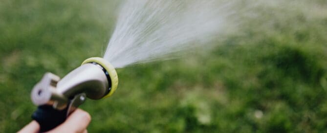 person using a water sprayer on a yard