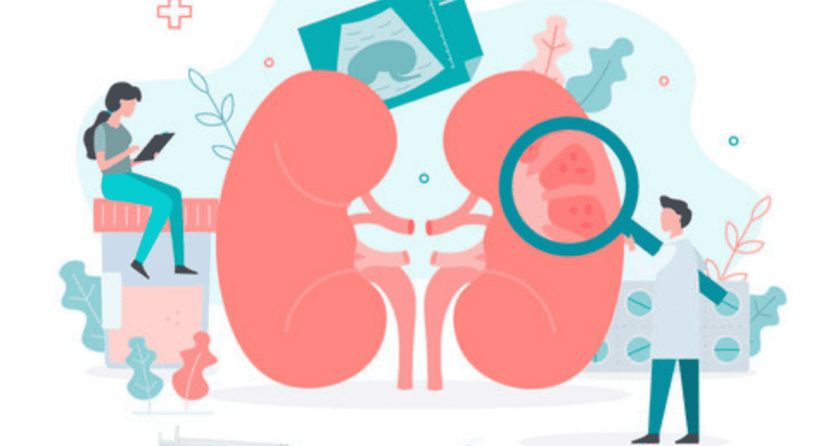 How Dehydration is Linked to Kidney Health