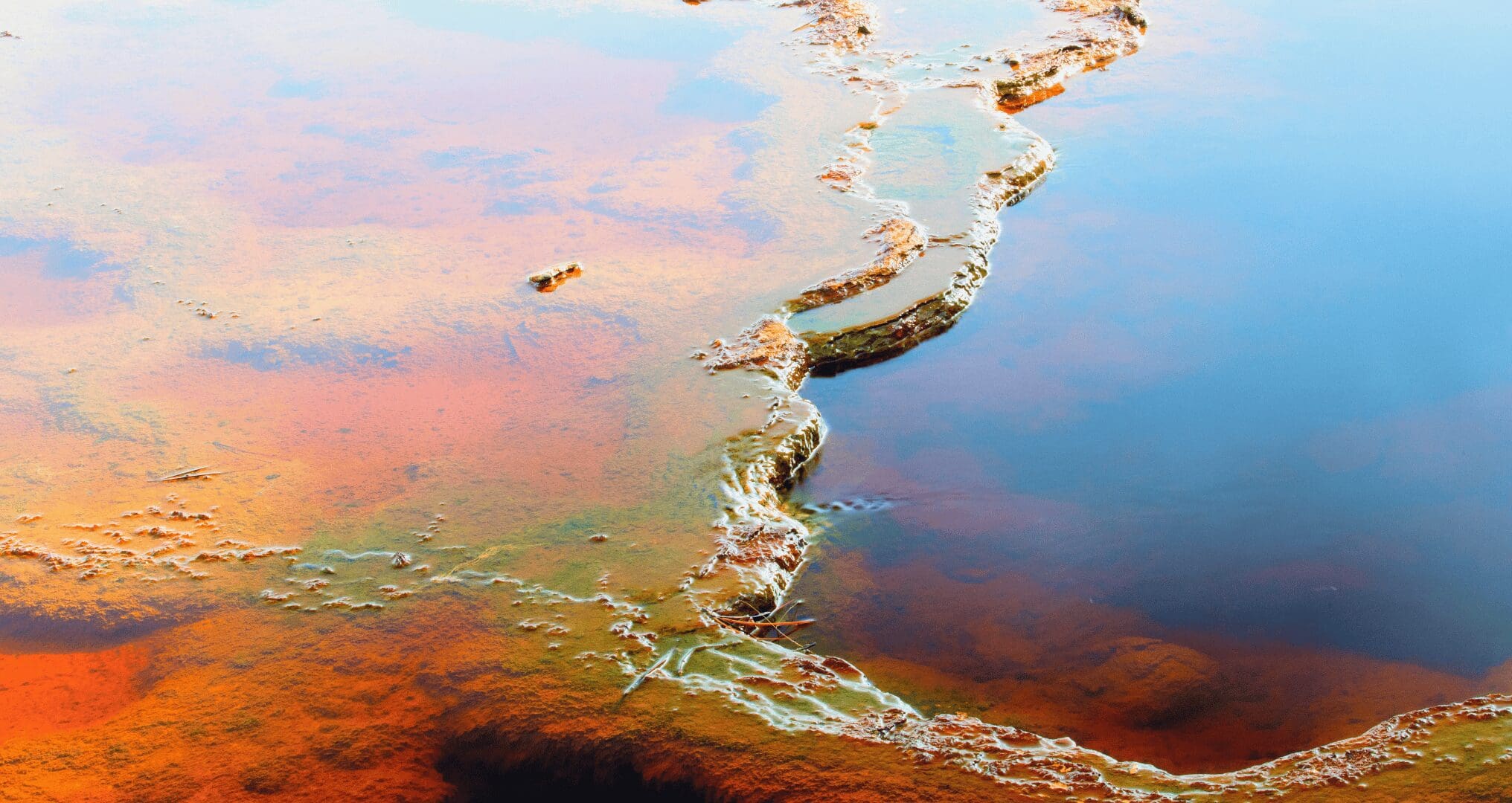 toxic film on body of water